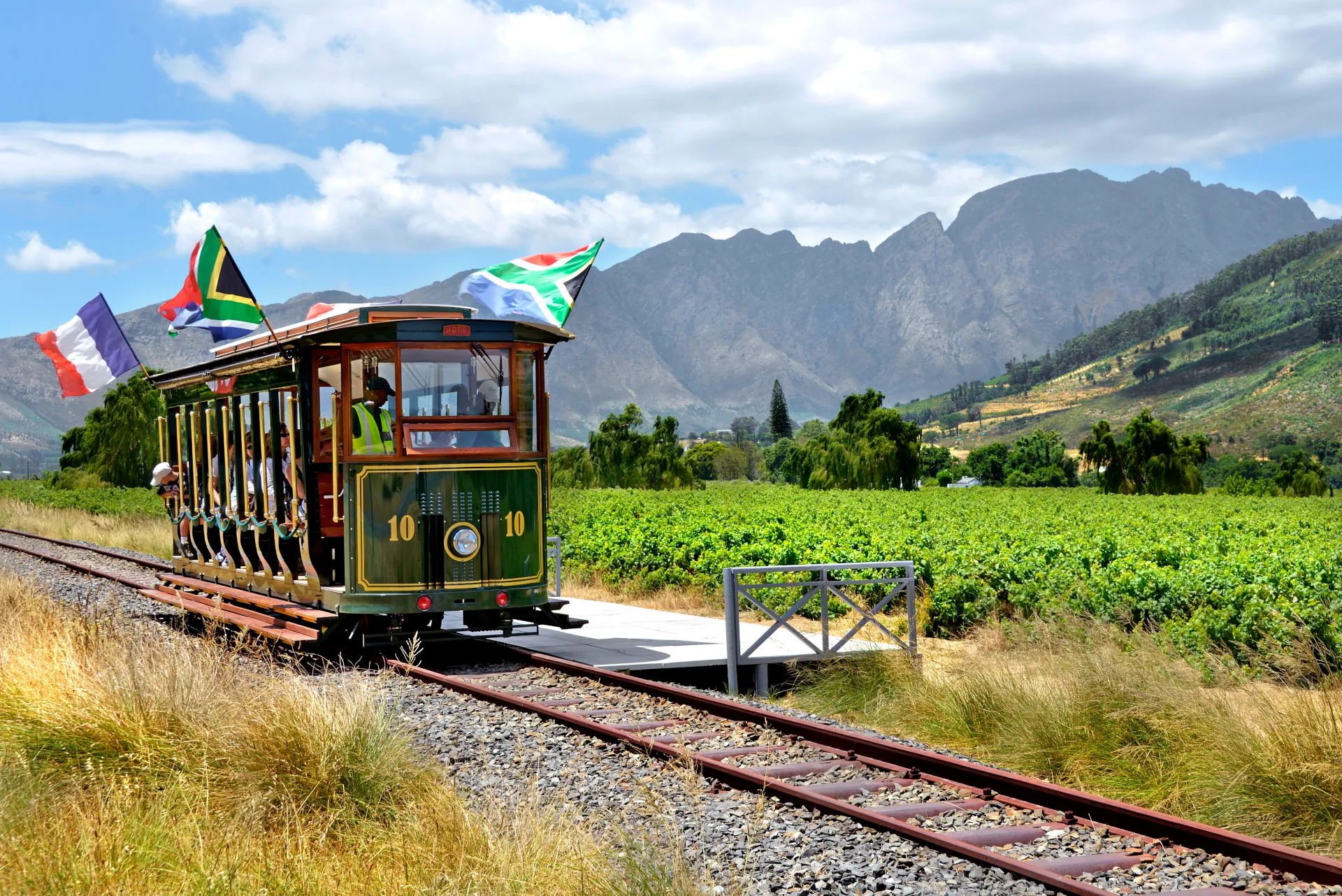 Wine tram travelling through the Cape Winelands