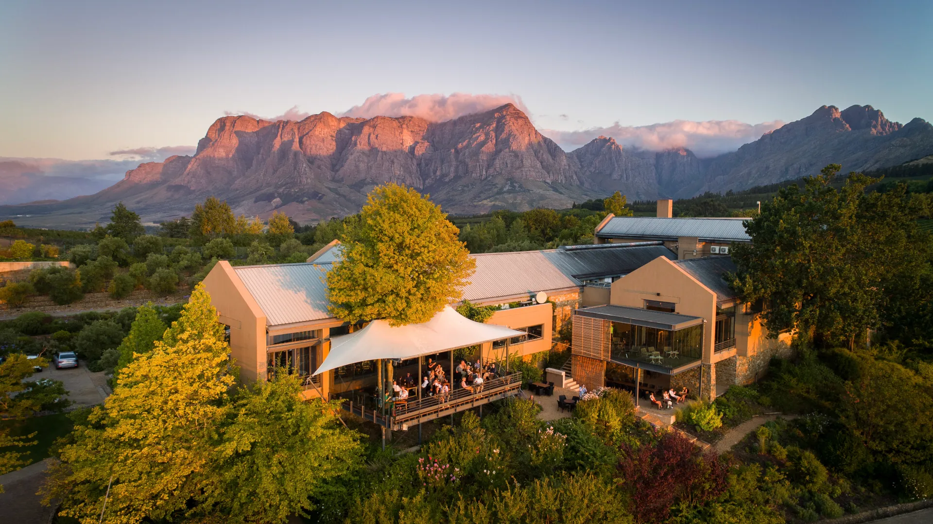 Vineyard and Cape Dutch estate beneath mountains