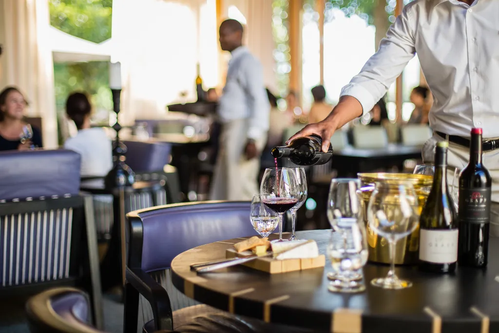 Cape Winelands estate
